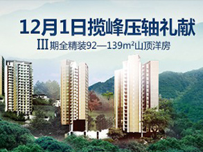 找仓网