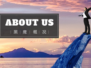 黑鹰安防