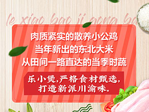 乐小煲